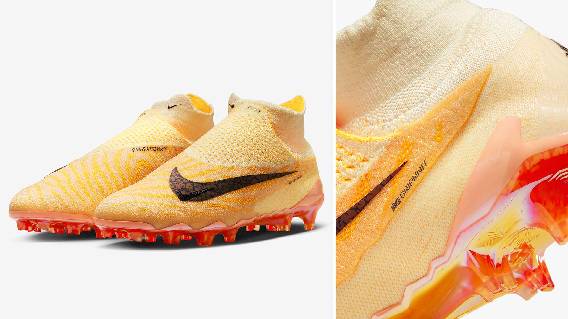 了解这一政 了解这一政