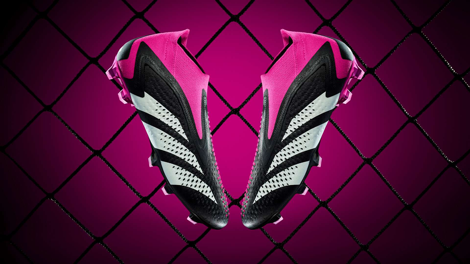 更多的不仅 更多的不仅