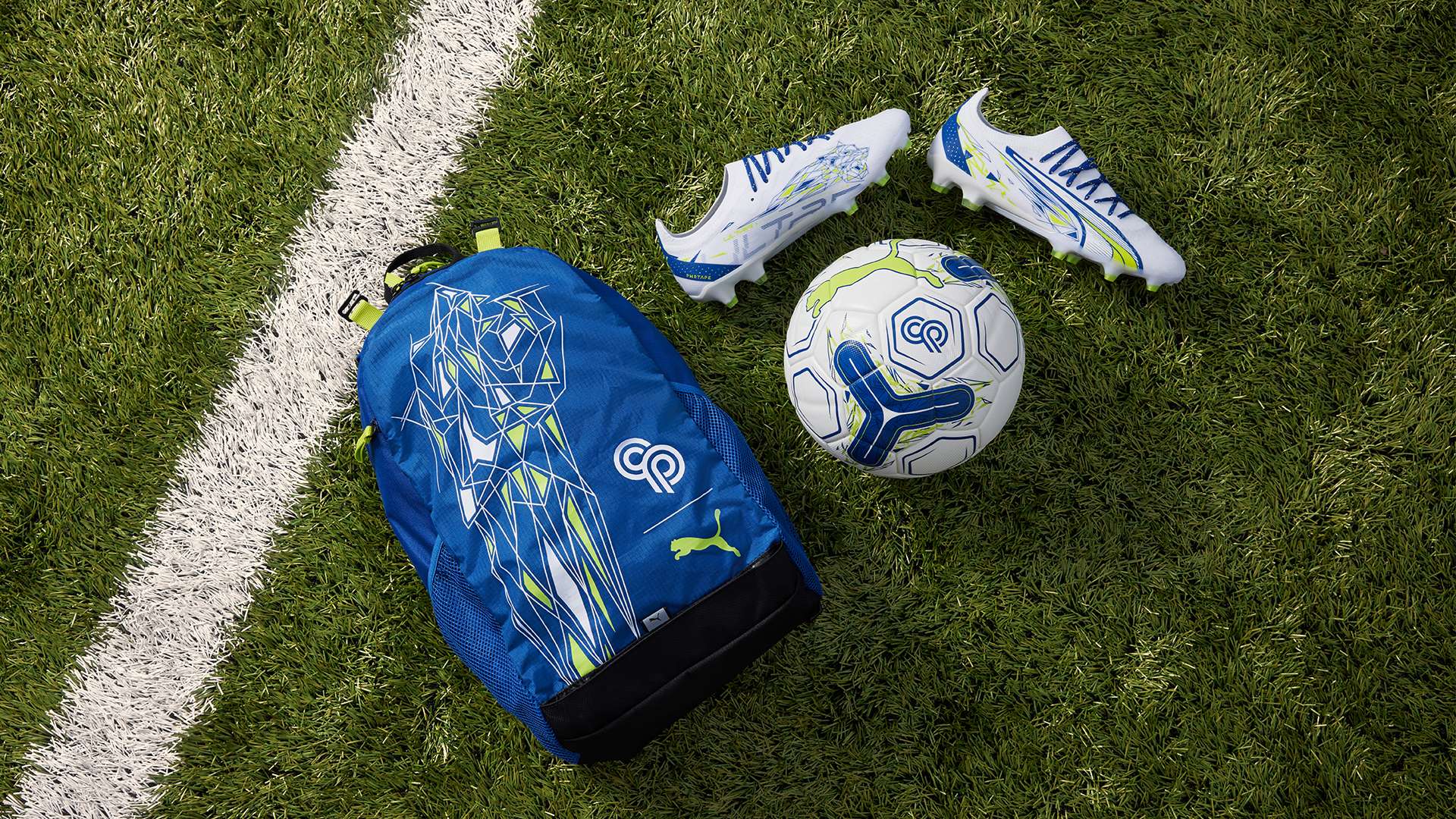 不僅提升了 不僅提升了