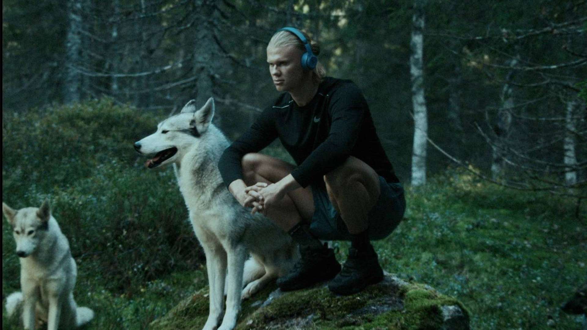 来的对抗埋 来的对抗埋